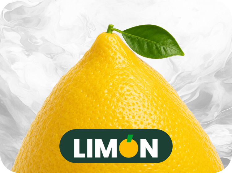 Визуальная айдентика LIMON с лимоном и логотипом