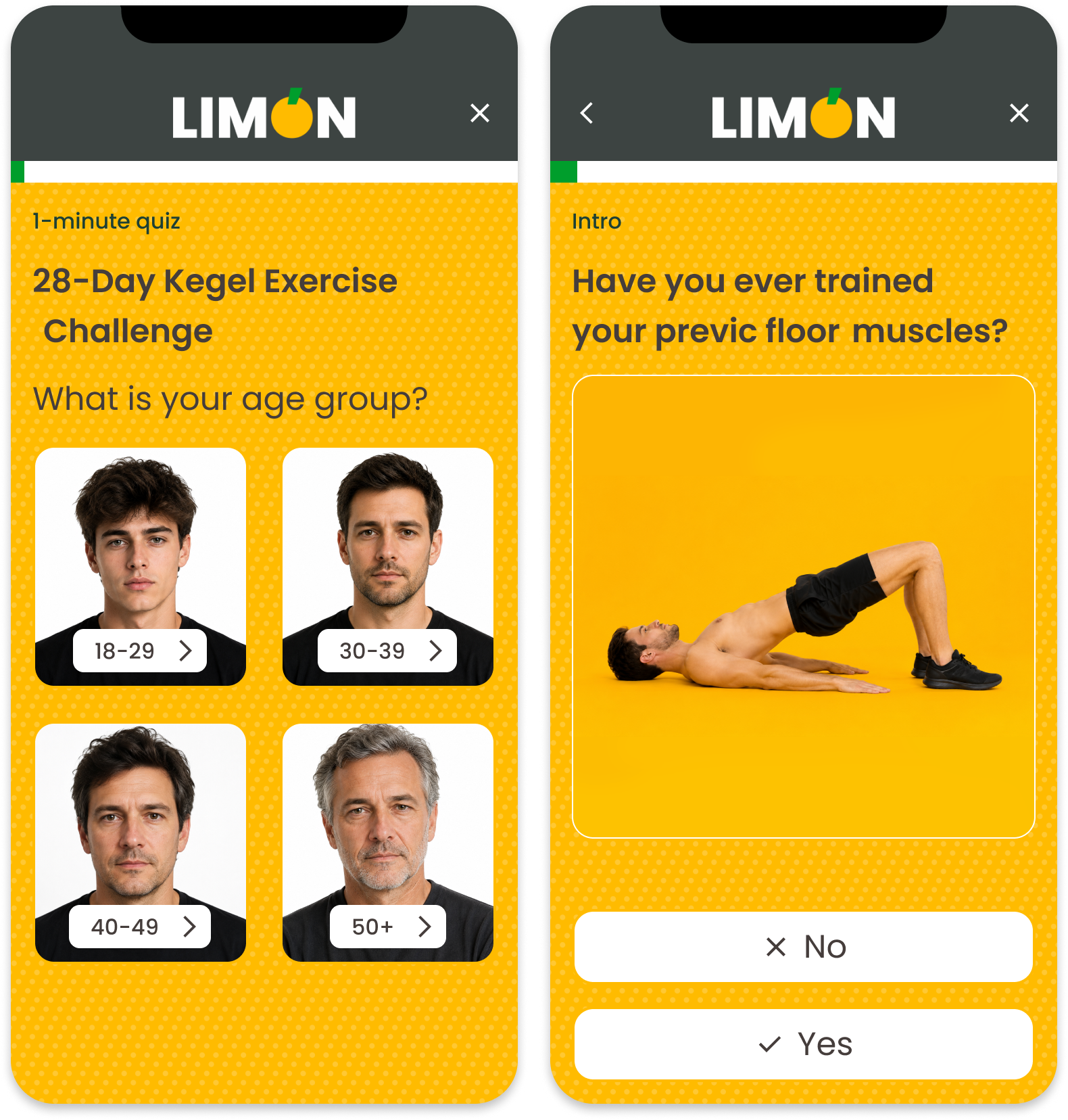 Проверка направления проекта limon